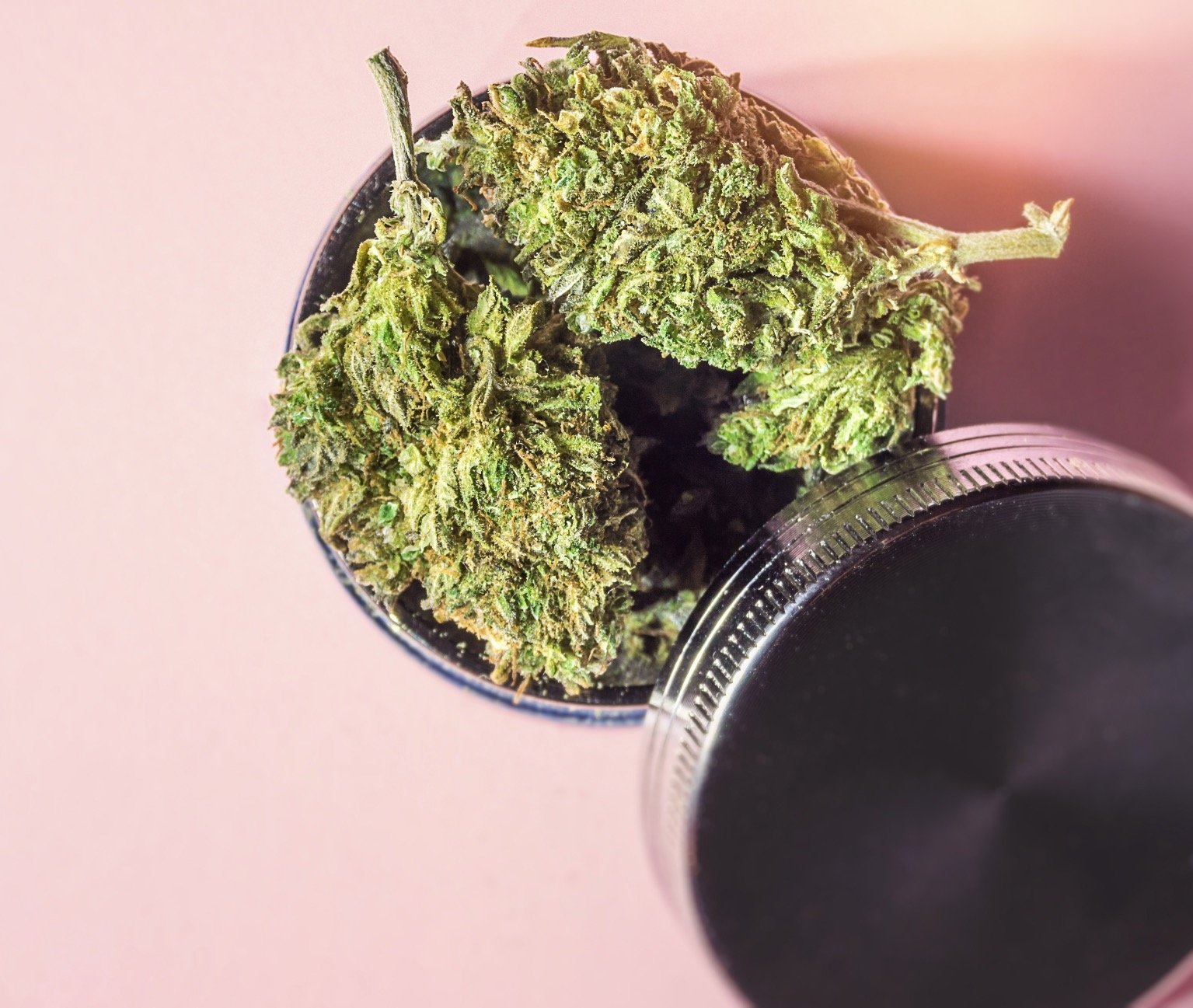 Stoney Creek shoppers